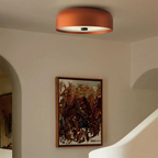 Lámpara de Techo Retro Nórdica | Plafón LED Minimalista