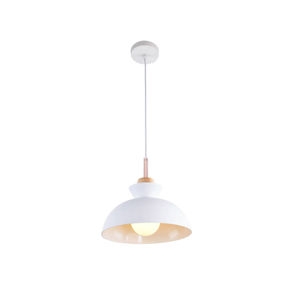 Lámpara colgante moderna de un solo foco con cúpula | Lámpara colgante de metal escandinava