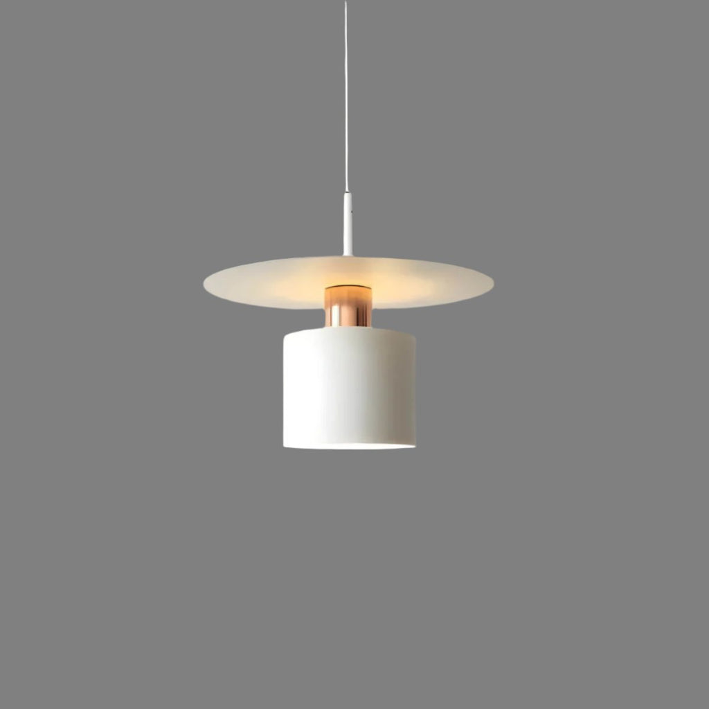Lámpara Colgante | Lámpara de Techo Minimalista Moderna