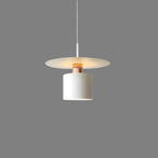 Lámpara Colgante | Lámpara de Techo Minimalista Moderna