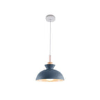 Lámpara colgante moderna de un solo foco con cúpula | Lámpara colgante de metal escandinava
