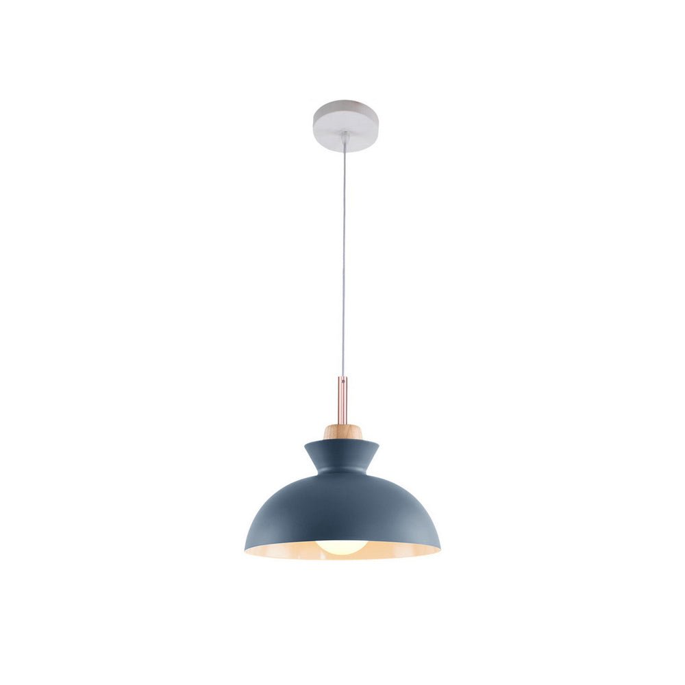 Lámpara colgante moderna de un solo foco con cúpula | Lámpara colgante de metal escandinava