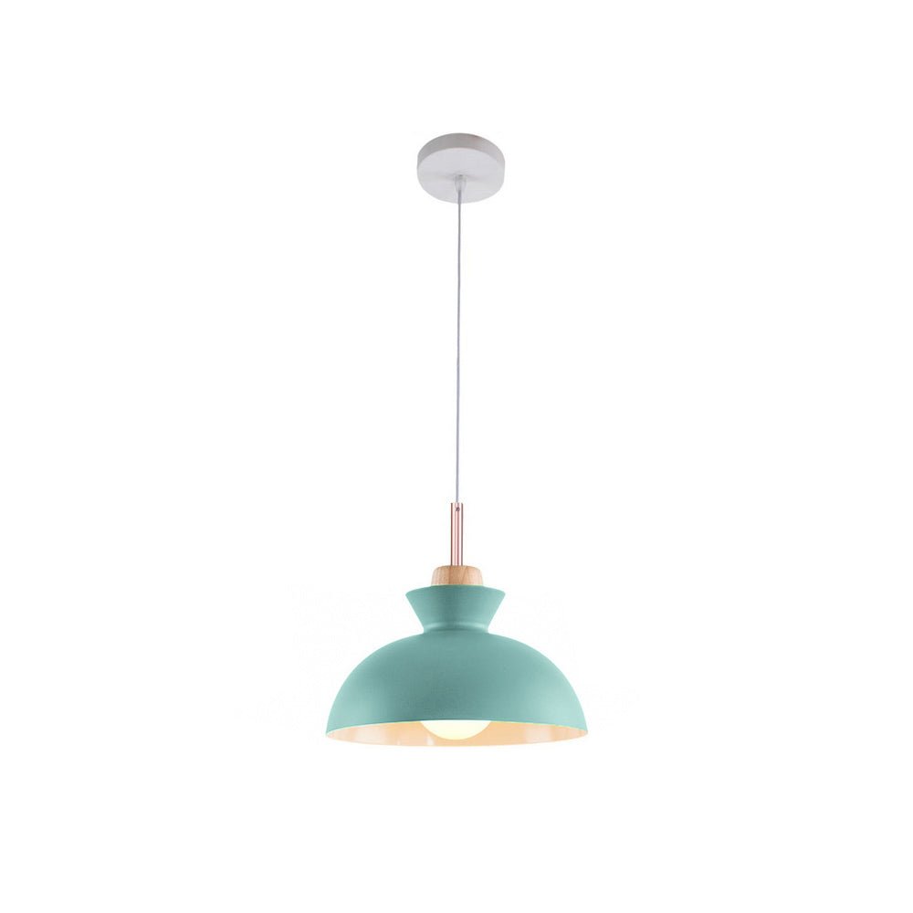 Lámpara colgante moderna de un solo foco con cúpula | Lámpara colgante de metal escandinava