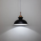 Lámpara colgante moderna de un solo foco con cúpula | Lámpara colgante de metal escandinava