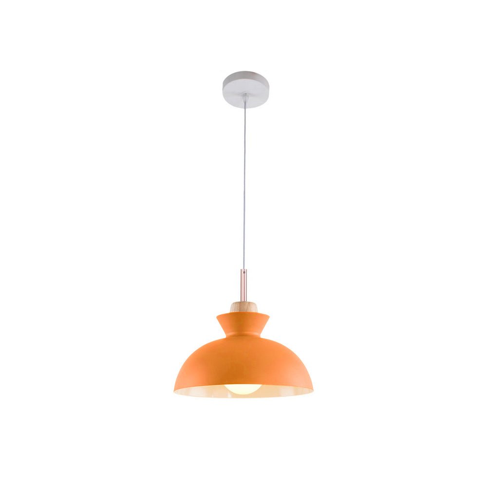 Lámpara colgante moderna de un solo foco con cúpula | Lámpara colgante de metal escandinava